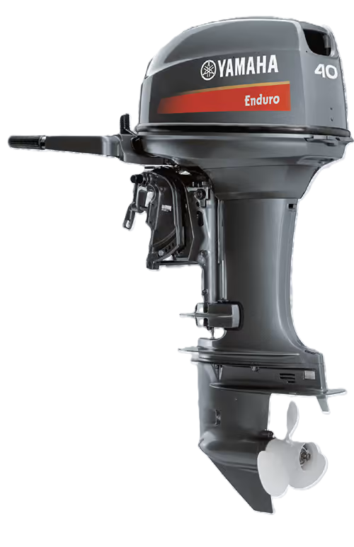 E40XMH/XW (40 PK)
