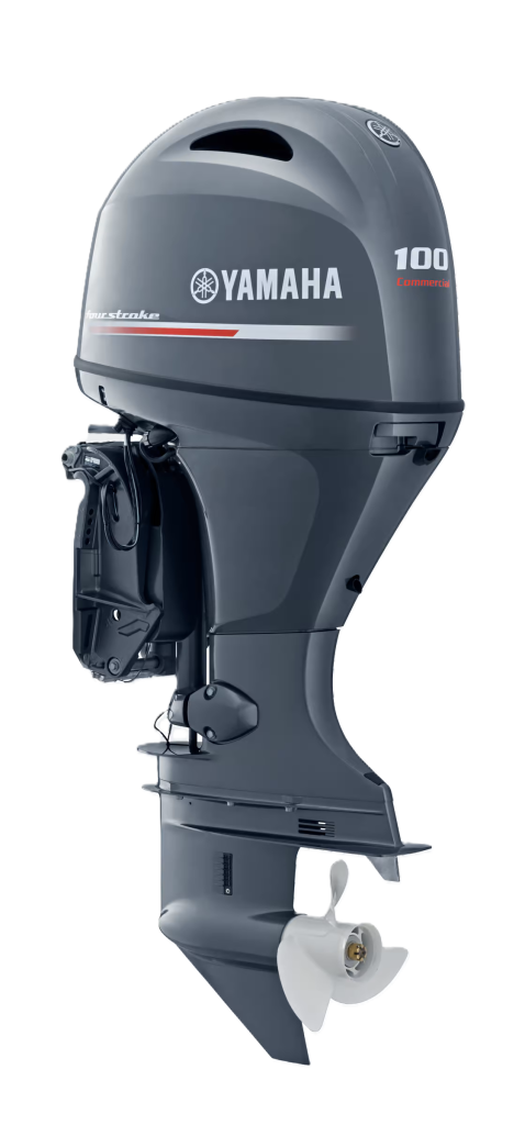 F100G (100 PK)