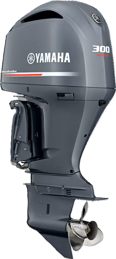 F300D (300 PK)